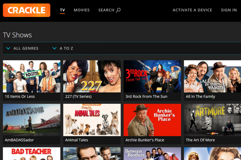 stream best in show online